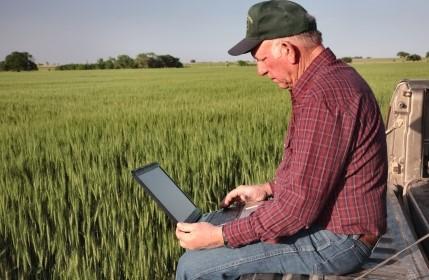 Farmer reviewing laptop with grain field in the background
