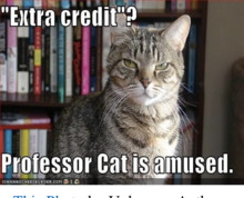 Extra Credit? Professor Cat is Amused